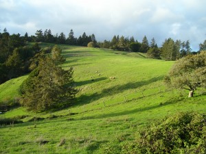 Moon Ranch Hills 300x225