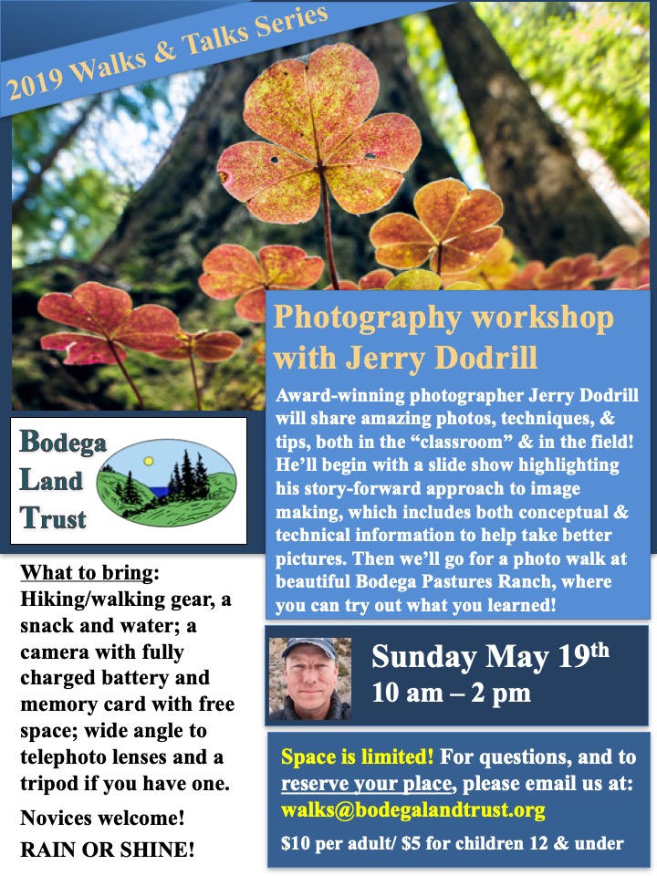 May2019 PhotoDodrillWalk