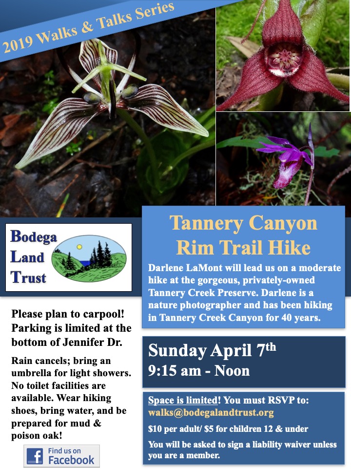 TanneryCreek April2019